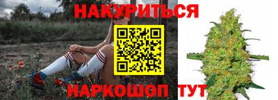 Альфа ПВП Камышлов