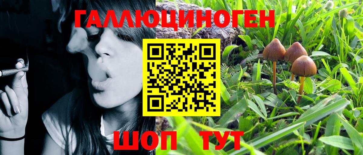 Псилоцибиновые грибы GOLDEN TEACHER  Вход с VPN  Красноармейск 