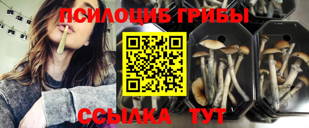 Псилоцибиновые грибы ЛСД Красноармейск